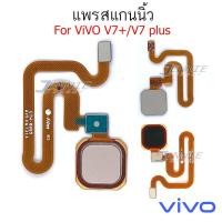 ราคา สแกนนิ้ว VIVO V7plus Ｖ7 สแกนนิ้ว VIVO V7plus Ｖ7 (14274676549)