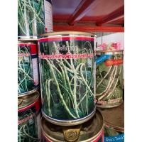 ราคา เมล็ดพันธุ์ถั่วไร้ค้าง ถั่วพุ่ม สีเขียวเมล็ดขาว ขนาด 100 กรัม (21269344207)