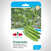 ราคา เมล็ดพันธุ์ ถั่วพู กำแพงแสน ลำต้นและข้อสีเขียว ดอกสีขาว ติดฝักดก ผลผลิตสูง ตราศรแดง บรรจุ 20 เมล็ด (885078623)