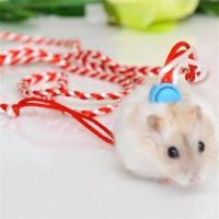 ราคา สายจูงหนูแฮมเตอร์ เม่นแคระ ชูก้า กระรอก พร้อมกระดิ่ง แบบเชือกถัก (17433240989)