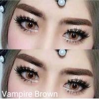 ราคา คอนแทคเลนส์ บิ๊กอาย รุ่น Vampire twilight Vampire สีเทา ตาล gray brown มีค่าสายตา 0 00 6 50 (16836290327)