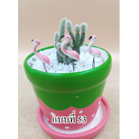 ราคา ตุ๊กตาจิ๋ว ตุ๊กตาปักกระถาง จัดสวนถาด แต่งกระถาง ของจิ๋ว ของจิ๋วแต่งสวน ของตกแต่งจิ๋ว จำนวน 1 อัน (16861362412)