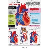ราคา INTOP By OST Plastic Poster The Heart หัวใจ 50x70 Cm EP 126 (622252417)