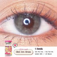 ราคา คอนแทคเลนส์ สายฝอ รุ่น Mini Ava สีเขียว ม่วง Green Violet มีค่าสายตา 0 00 6 50 เปลี่ยนแทนทุกเดือน (19494880511)