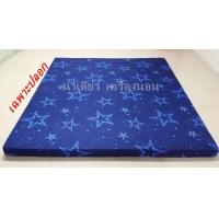 ราคา ปลอกสวมที่นอนปิคนิค 3 5 ฟุต5ฟุต 6ฟุต ถอดชักได้ มีชิป เฉพาะปลอก ทำความสะอาดง่าย (11772993566)