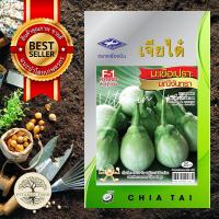 ราคา เมล็ดพันธุ์ มะเขือเปราะ มณีจันทรา 1กรัม เมล็ด ต้นไม้ เมล็ดผัก เมล็ดดอกไม้ ดอกไม้ ผัก ผักสวนครัว สลัด เมล็ดพันธุ์พืช (10038654934)