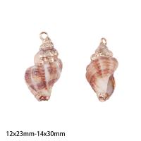 ราคา 2ชิ้นจี้เปลือกหอยที่สวยงามและสวยงามเปลือกหอยธรรมชาติตัวเชื่อมต่อเปลือกหอยสำหรับเครื่องประดับสร้อยคอทำ DIY จี้สร้อยข้อมือ (17288815546)