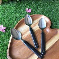 ราคา ส่งไวจากไทย ช้อนพลาสติก ช้อนด้ามพลาสติก ช้อนกินข้าวพลาสติก ช้อนคาว ช้อนทานข้าว ด้ามพลาสติกสีดำ 3 ชิ้น ชุด (619956296)