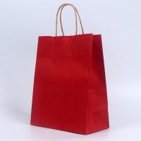ราคา Paper Bag Shopping Bag Gift Bag Retail Bag Colour Kraft Paper Bag Wedding Birthday Bag (20429529599)