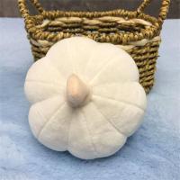 ราคา IJVBTV น่ารักของขวัญวันเกิดน่ารักใบหน้าแครอทข้าวโพดพริกผักของเล่นตุ๊กตาผักจำลองพืชตุ๊กตาตุ๊กตามือ (17019736314)