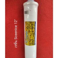 ราคา ไส้กรอง เรซิ่น 12นิ้ว ไส้กรองน้ำ เรซิ่น Inline 12 นิ้ว Softtener filter ไส้กรอง เรซิ่น Inline กำจัดหินปูน (16206826896)