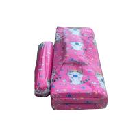 ราคา ที่นอนปิคนิค 5 ฟุต หมอนข้าง 1ใบ แบบเซ็ต 4 ชิ้น ขนาดที่นอน 150x190 CM ที่นอนถอดซักได้ (16593371754)