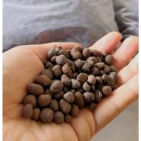 ราคา เลก้าบอล เม็ดดินเผามวลเบา leca ball นำเข้า hydro clay pebbles (17813649897)