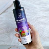 ราคา แชมพูแก้ผมร่วง 200ml ยาสระแก้ผมร่วง แชมพูแก้ผมร่วง แชมพูปลูกผม แชมพูเร่งผมยาว แชมพูขจัดรังแค แก้คัน แชมพูพรทิน่า (16421996606)