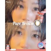 ราคา คอนแทคเลนส์ Roze Hydrogel รุ่น Pure Brown สีน้ำตาล (20069185240)