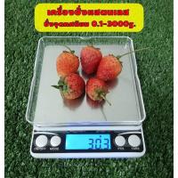 ราคา เครื่องชั่งอาหาร เครื่องชั่งดิจิตอลแสตนเลส ชั่งจุดทศนิยม 0 1 3000g 0 01 500g (18449697574)