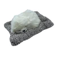 ราคา ตุ๊กตาหมาดูดกลิ่น ตุ๊กตาหมาดับกลิ่นในรถ ตุ๊กตาดูดกลิ่น ตุ๊กตาดับกลิ่น น่ารักเหมือนจริงมากๆ (19654383756)