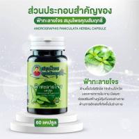 ราคา ฟ้าทะลายโจน (14008957231)