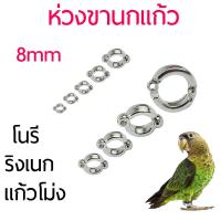 ราคา 8มม ห่วงนก ห่วงเปิดนก ห่วงขานก ห่วงเปิดคล้องขานก โนรี ไคท์ ริงเนก แก้วโม่ง (14023675789)