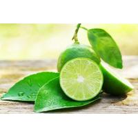 ราคา ต้นมะนาวไร้เมล็ด ต้นมะนาวทูลเกล้า ต้นมะนาวทูลเกล้าไร้เมล็ด มะนาวไร้เมล็ด หรือมะนาวทูลเกล้า ต้นสูง 50 ซม จัดส่งในถุง 8 นิ้ว ลักษณะต้นเป็นไม้พุ่มสูงประมาณ 2 3 เมตร กิ่งโค้งงอเลื้อยไปตามดิน ลักษณะ คล้ายต