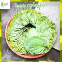 ราคา ใบพลู เกรดA พลู ใบพลูสด พลูพม่า พลูกินหมาก หมากพลู หมากพม่า พลูเขียว พลูสด (17092930193)