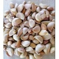 ราคา กระเทียมกลีบใหญ่แกะกลีบแล้ว บรรจุ 500กรัม และ 1กิโลกรัม (17442294074)