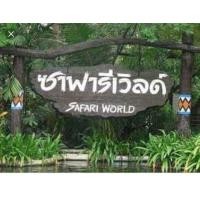ราคา บัตรซาฟารีเวิลดิ์ Safari World เข้าได้ 2 โซน ราคาพิเศษมากก (20784174866)