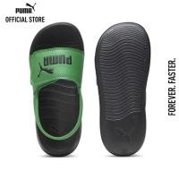 ราคา PUMA KIDS รองเท้าแตะเด็ก Popcat 20 Backstrap สีเขียว FTW 38055517 (20813484860)