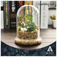 ราคา โหลแก้วสวยๆ พร้อมส่งจากไทย Terrarium โหลแก้วฝาครอบ ทำสวนขวด สวนจิ๋ว DIY อุปกรณ์ตกแต่งสวน (20882006757)