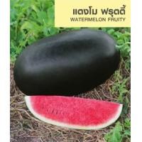 ราคา เมล็ดพันธุ์ แตงโม ฟรุตตี้ 40 เมล็ด แตงโมดำ เนื้อแดง หวาน กรอบ อร่อย ตราเจียไต๋ แตงโม (21146326295)