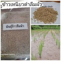 ราคา ข้าวก่ำเหนียวดำ ข้าวเหนียวดำลืมผัว ขนาดทดลองปลูก1กก (5324114870)