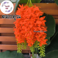 ราคา ดอกคูณ ดอกไม้ปลอม 10ช่อ ดอกคูณขาว เหลืองดอกคูณ ช่อดอกไม้ปลอม ดอกไม้ประดิษฐ์ ดอกราชพฤกษ์ ช่อราชพฤกษ์ ร้านดอกไม้ราชพฤกษ์ (20906352075)