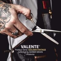 ราคา VALENTE SCISSORS กรรไกร ซอย ฟันปลา ขนาด 6 นิ้ว ด้ามทอง VAL 62 (458504262)