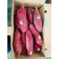 ราคา มันหวานญี่ปุ่น Beni haruka หวาน หอม เนื้อเหลือง 1 kg นำเข้า (18746056006)