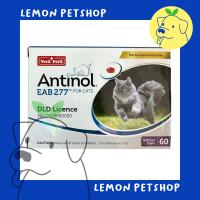ราคา Antinol Cat 60 Caps อาหารเสริมบำรุงข้อสำหรับแมว หมดอายุ 11 2024 (20865640106)