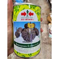 ราคา เมล็ดฟักทองลูกผสม ข้าวตอก 573 F1 ขนาด 100 กรัม ตราศรแดง กระป๋อง (20712580952)