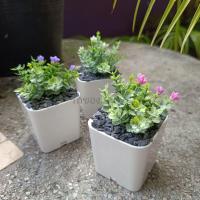 ราคา ต้นไม้มินิมอล ต้นไม้ปลอม 3ต้น 100 ตั้งโต๊ะทำงาน โต๊ะเรียน แต่งห้อง แต่งโต๊ะทำงาน แต่งบ้าน พร้อมส่ง ทำเองหมด (16348419659)