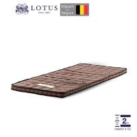 ราคา LOTUS ที่นอนยางพารานุ่มสบาย หนา 2 นิ้ว Latex made in Belgium ส่งฟรี (15587991435)