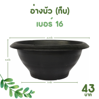 ราคา กระถาง กระถางต้นไม้ อ่างบัว ชวนชม รู ทึบ เบอร์ 12 13 16 18 นิ้ว สีดำ (20894884198)