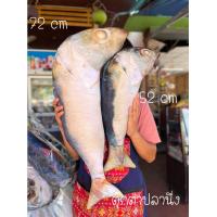 ราคา ตุ๊กตาปลาทูนึ่ง ปลาทูทอด น่ากอด น่ากิน เป็นทั้งตุ๊กตา และหมอนข้าง (19932783519)