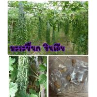 ราคา เมล็ดมะระขี้นกอินเดีย มะระขี้นก ซื้อ 10 แถม 1 คละอย่างได้ (9961623122)