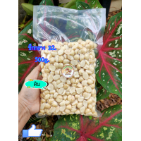 ราคา Macadamia แมคคาเดเมีย ซีกกลาง B2 500g ดิบ (17525865544)