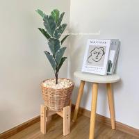 ราคา ต้นไม้ปลอม ต้นไทรใบสัก พร้อมตะกร้าหวาย แถมฟรีหินโรยจ้าา (19725222666)