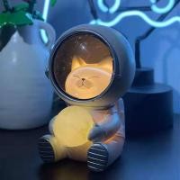 ราคา Night Light Astronaut Birthday Gift Bedroom Bedside Small Night Lamp Creative High Sense Gift for Boys and Girls Girlfriends Valentines Day Gift Light (20991939998)