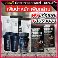 ราคา V WHEY เวย์โปรตีน เพิ่มกล้ามเนื้อ รสช๊อคโกแล็ต โปรตีน 24g แถมฟรีแก้วเชค ของแท้ มีผล Lab ส่งฟรี มีเก็บเงินปลายทาง (20030827300)
