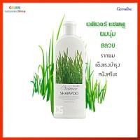 ราคา เวติเวอร์ แชมพู กิฟฟารีน แชมพู แชมพูสูตรอ่อนใส Giffarine Vetiver Shampoo (19944763658)