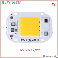 ราคา JULYHOT เชิงเส้นไดรฟ์ฟรีแหล่งกำเนิดแสงซังอัจฉริยะชิป LED 20W 30W 50W AC 220V 220V แรงดันสูงลูกปัดหลอดไฟ LED (20400576442)