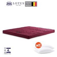 ราคา LOTUS ที่นอนยางพาราแน่นสบาย หนา 4 นิ้ว Latex made in belgium ฟรีหมอนหนุนใยสังเคราะห์ ส่งฟรี (15590145401)