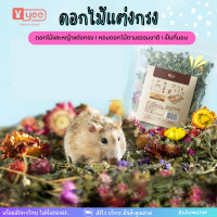 ราคา HiHamster ดอกไม้แห้งแต่งกรง ขนาด 50g กินได้ไม่เป็นอันตราย (12580354056)