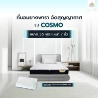 ราคา Solomon mattress ที่นอนยางพารา หนา 7 นิ้ว รุ่น Cosmo คอสโม แถมหมอนพาราแท้ (21345299216)